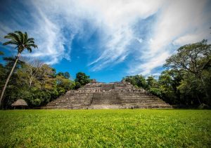Maya vondst - Travelproof