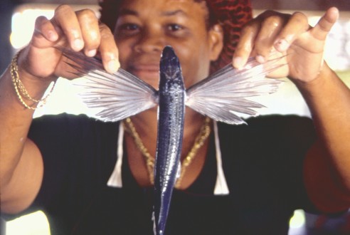 Dame met flying fish