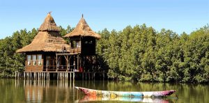 Mandina River Lodge - Gambia